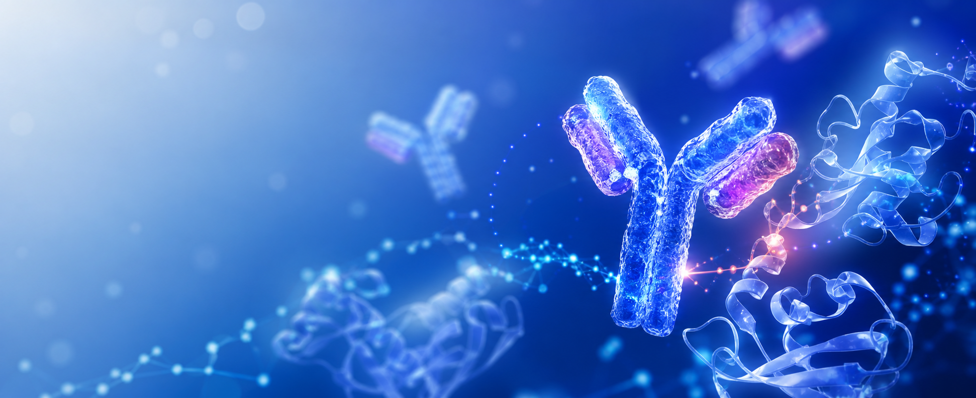抗体与蛋白结构的生命科学视觉图